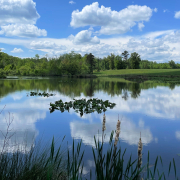 Reflections